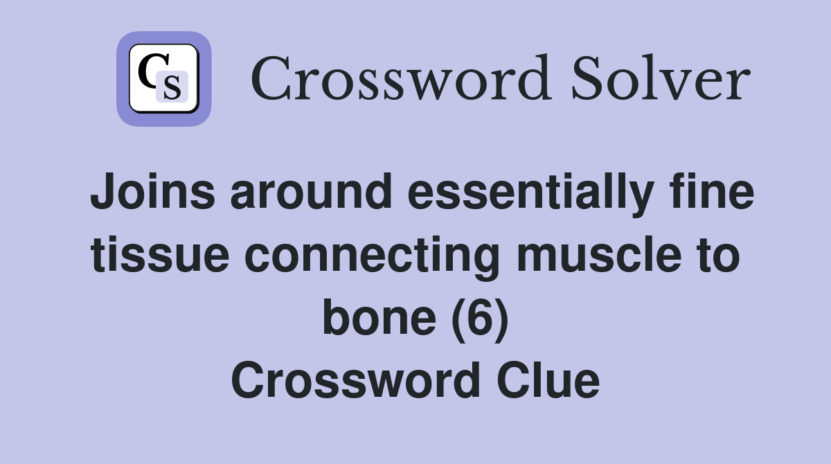 Joins around essentially fine tissue connecting muscle to bone (6